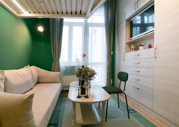 Loft Studio In The City Center Apartment *